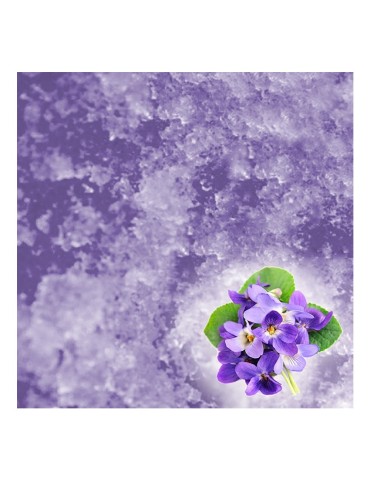 JELLY SPA Pedicure & Manicure Treatment Violet & Solute Set